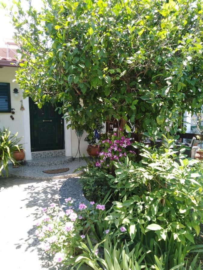 Arhontiko Kastelorizia Villa Afantou Exterior photo