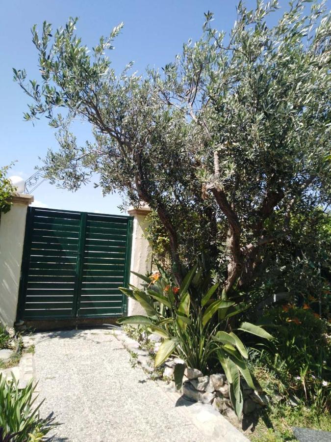 Arhontiko Kastelorizia Villa Afantou Exterior photo